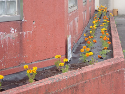 P6250079