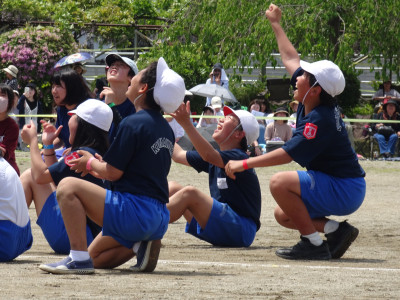DSC00803