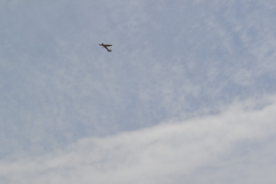 DSC_0018