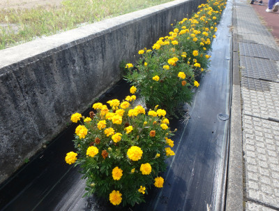 P82900101