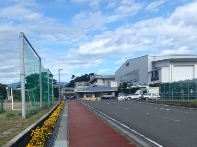 P91900033