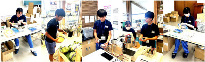 まるごと5枚連結