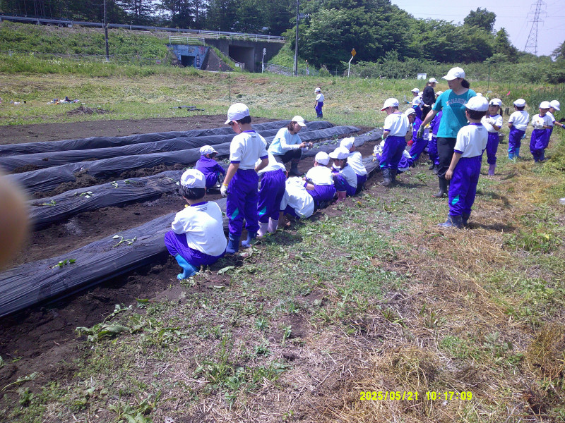 DSCF0684