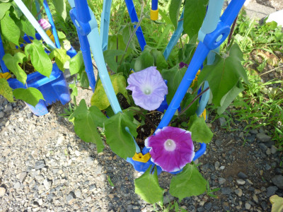 P1110886